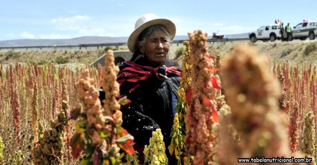 Plantação de quinoa